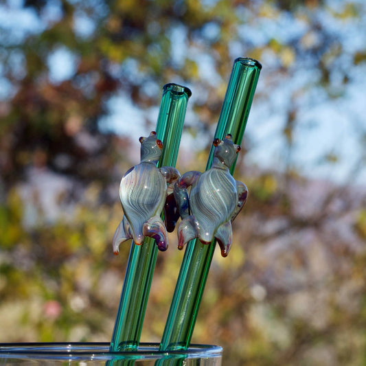 Turtle Glass Straw