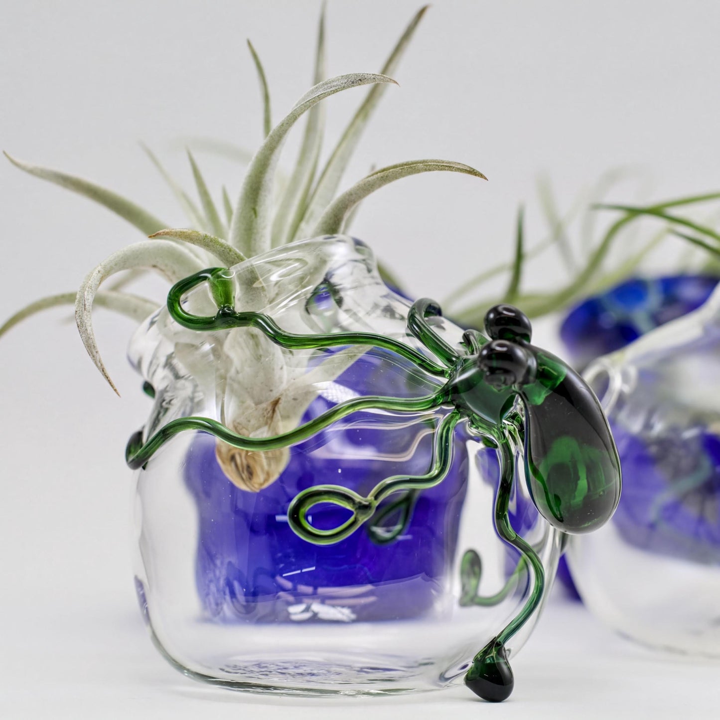 Octopus Glass Terrarium