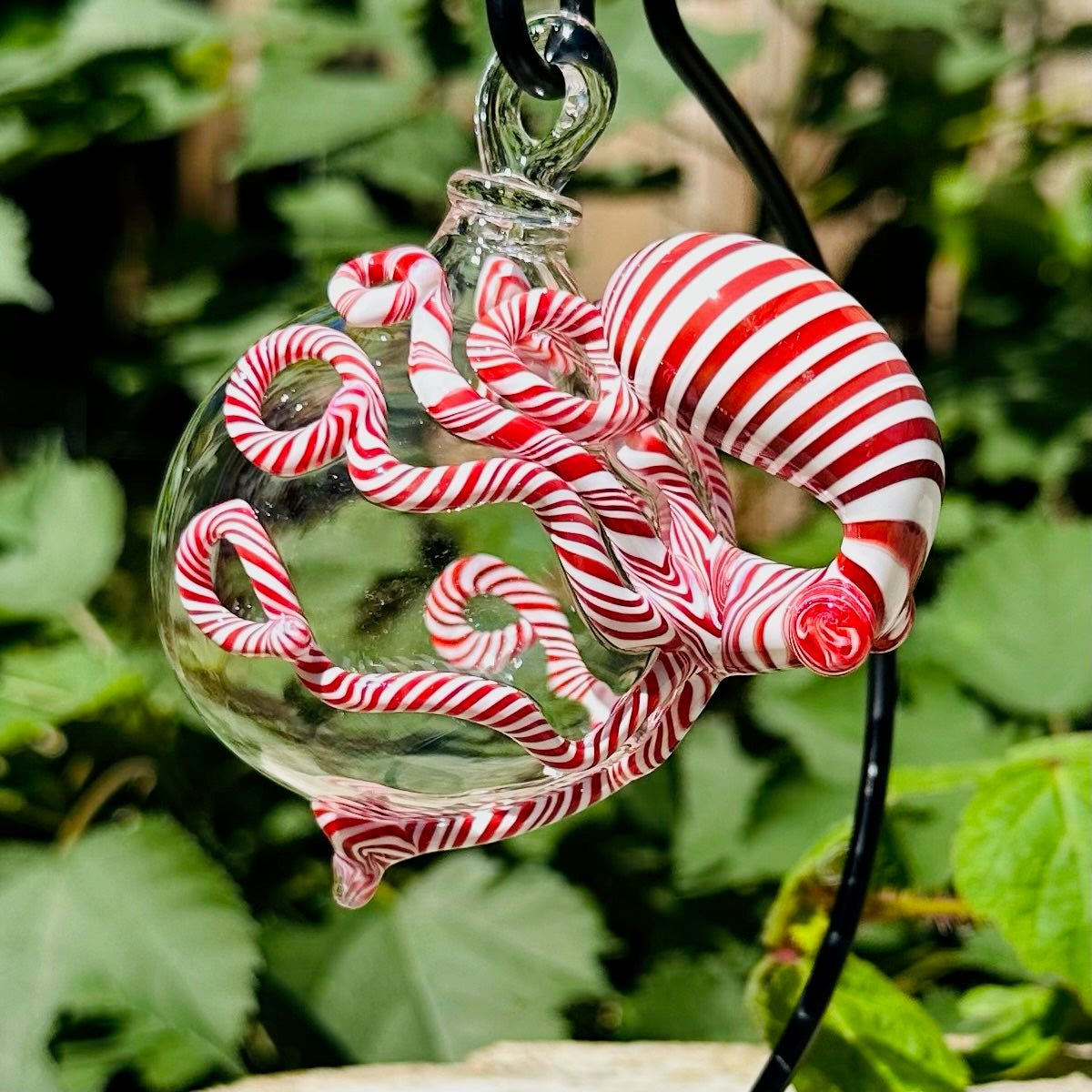 Clear glass globe with red and white stripe octopus in front of green leaf background. 
