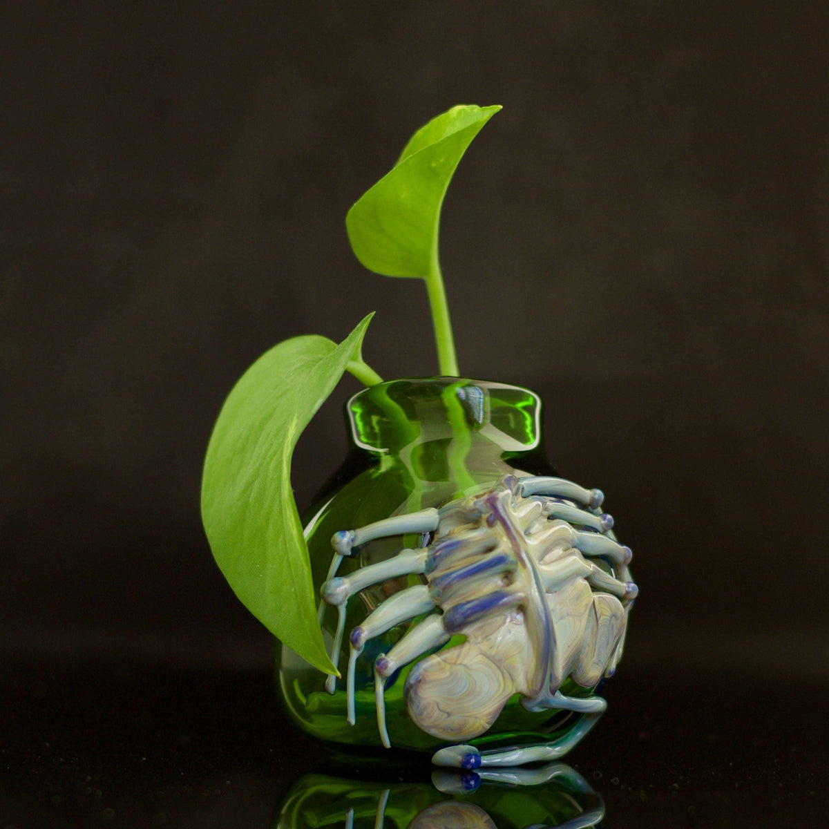 Glass sculpture of a skeleton with a plant growing out of it on a dark background
