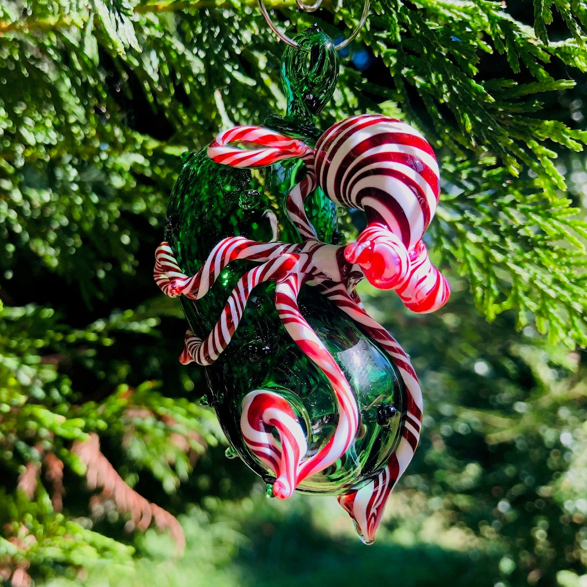 candy cane swirl octopus christmas pickle ornament hanging in evergreen bush