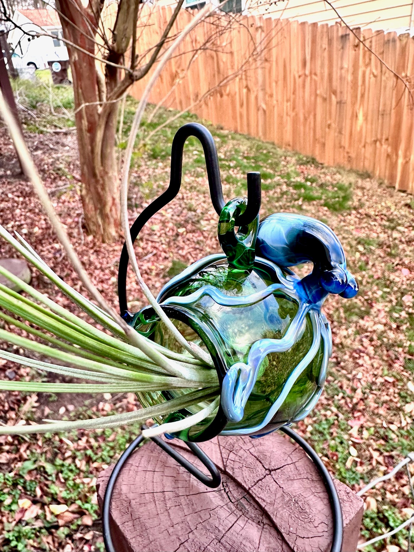 Octopus Hanging Glass Terrarium