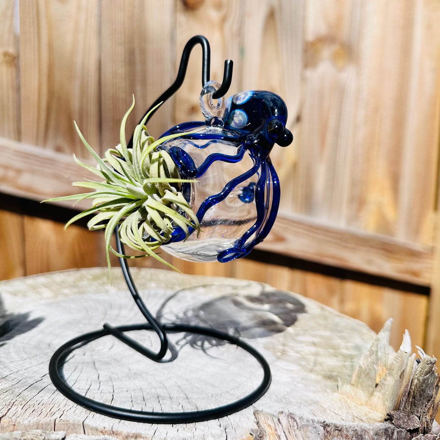 A decorative glass and metal air plant holder featuring a blue glass octopus figure with a clear glass body, mounted on a black wire stand, with a green air plant inserted, set on a rustic wood slice with a wooden fence background.