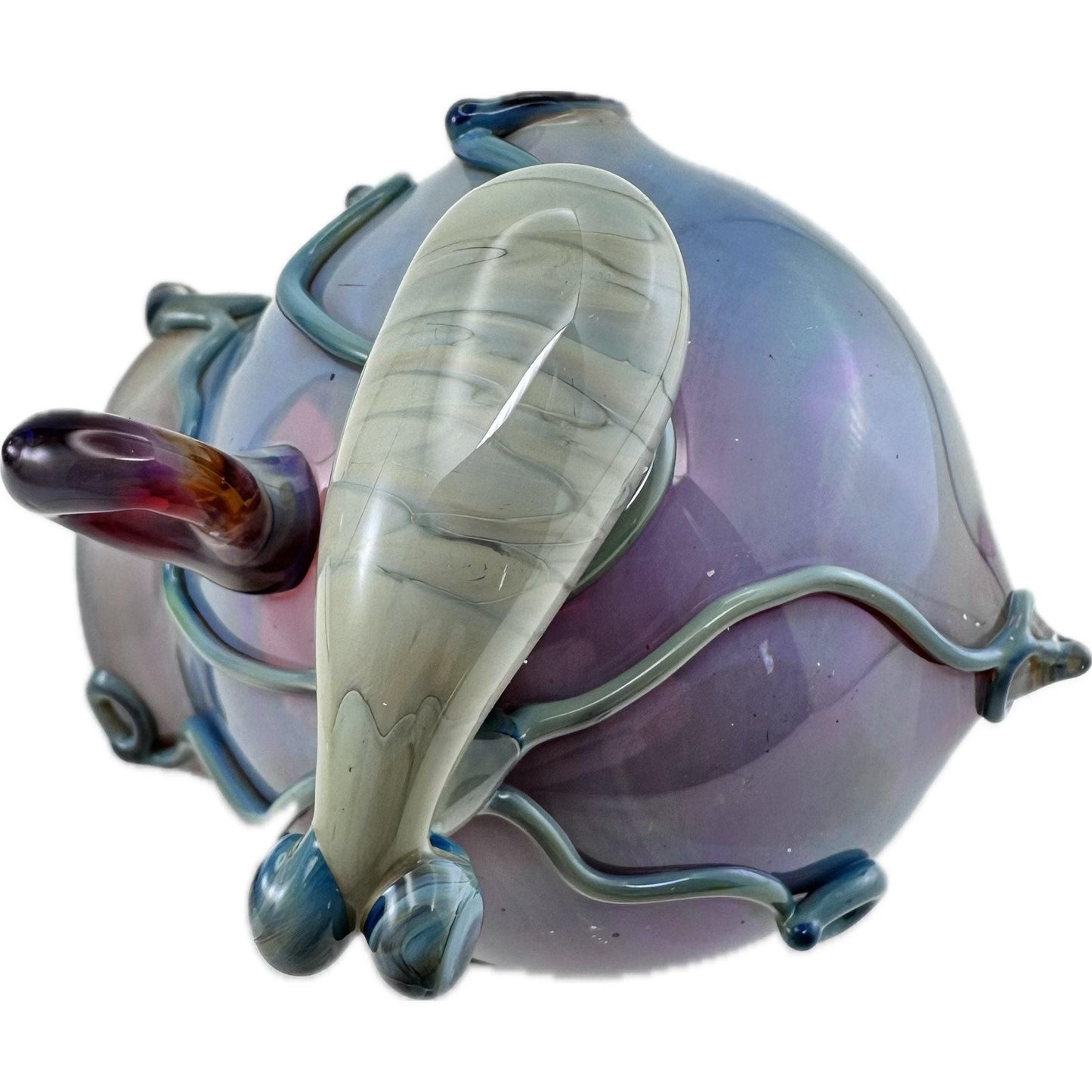 Glass octopus terrarium top view