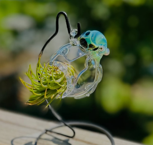 A small clear glass hanging planter with a green succulent-like plant inside, suspended from a black wire stand outdoors against a blurred green background.