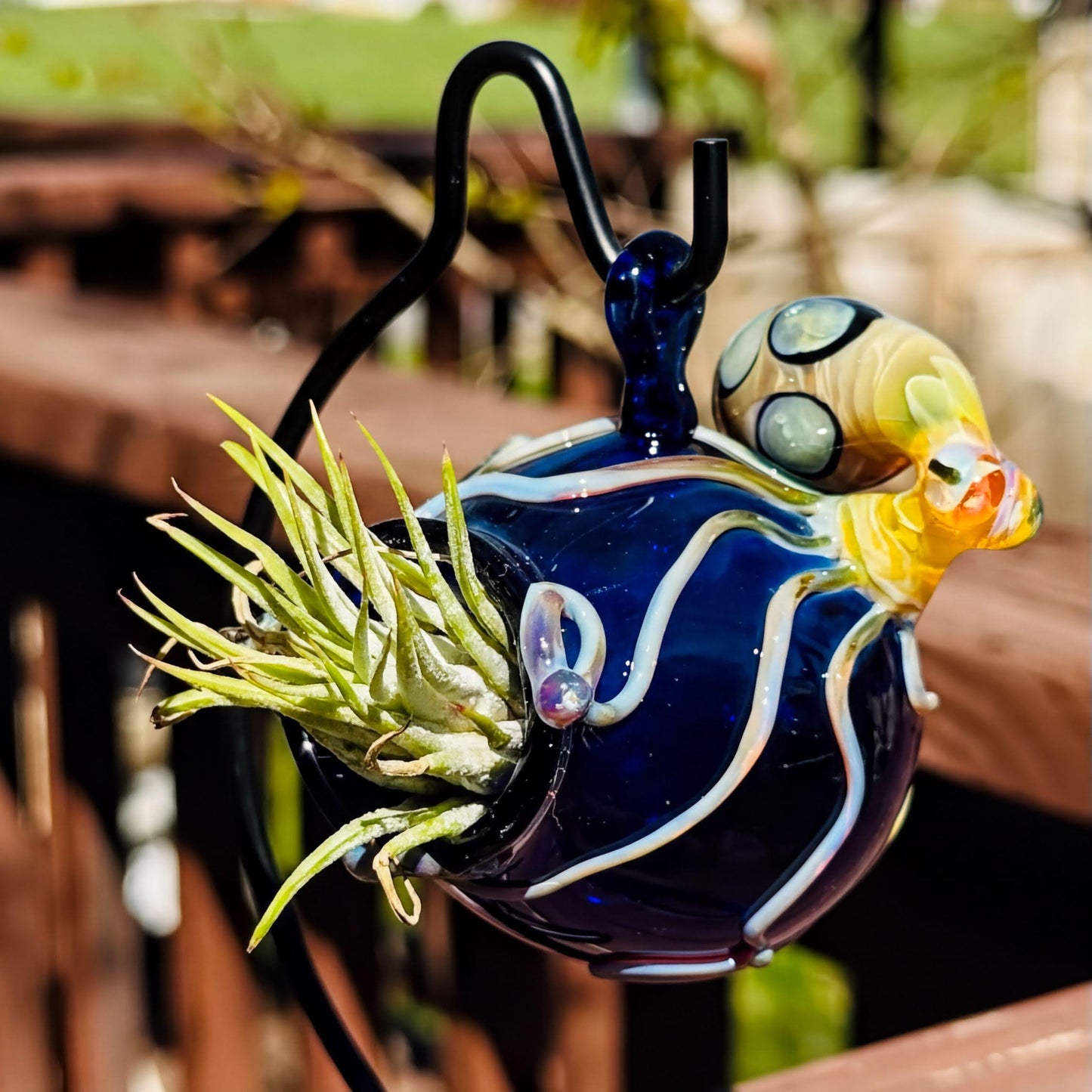 A decorative glass hanging planter shaped like a stylized fish or creature, with a dark blue bulbous body, white curved stripes, a yellow and orange head, and a black wire hanger. A small green air plant is placed inside the planter.