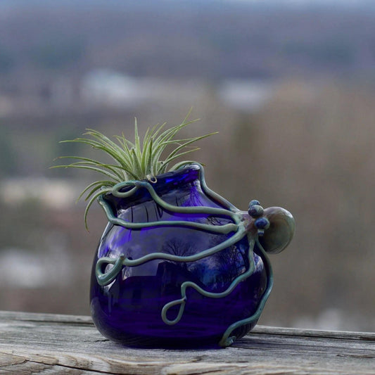 A cobalt blue glass pot with a small air plant, resting on a weathered wooden surface with a blurred outdoor background.