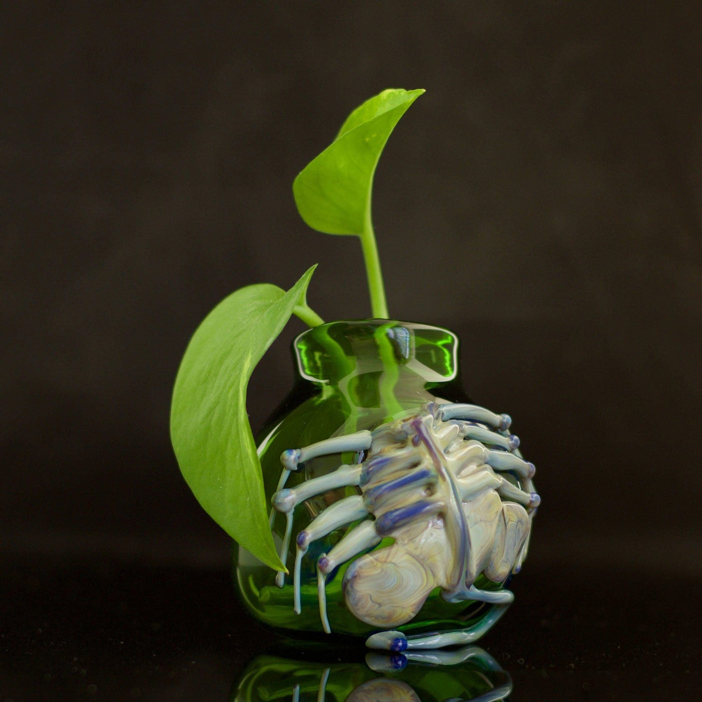 Facehugger Glass Terrarium