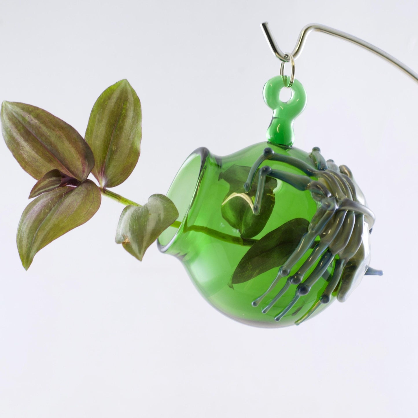 Facehugger Hanging Glass Terrarium